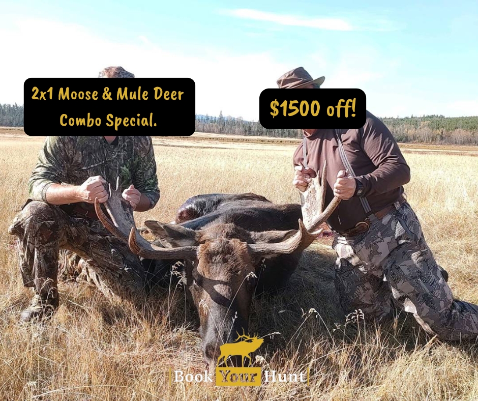 bookyourhunt's tweet image. 2x1 Moose &amp;amp; Mule Deer Combo Special. British Columbia, Canada

Regular pice: US$ 10,000, you pay US$ 8,500

Click to learn more or book this hunt on BookYourHunt.com! bookyourhunt.com/en/tour/27901

#hunting #moosehunting #muledeerhunting #huntbc #bookyourhunt