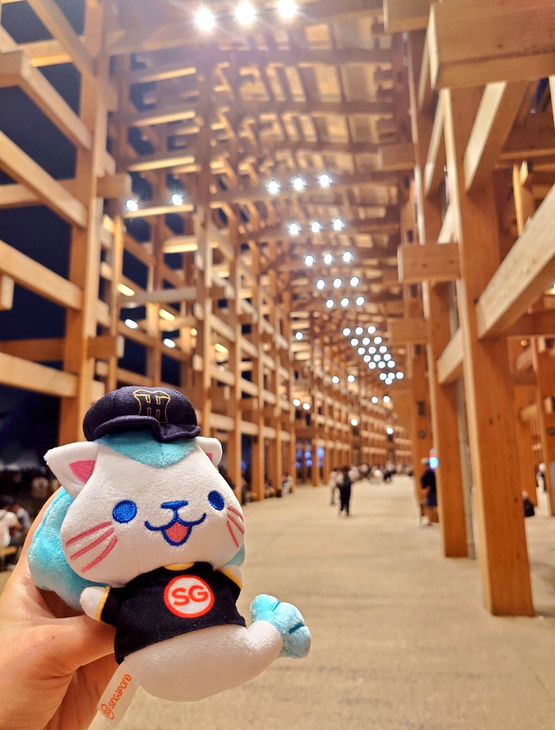 さとりも🐝💕7.3済 tweet media