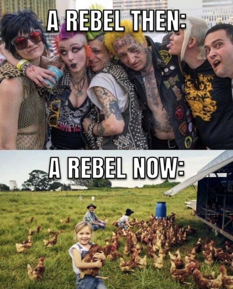 GigaBasedDad's tweet image. Traditional life is now rebellion