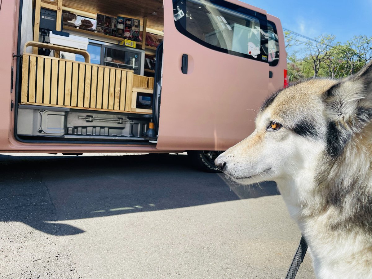 従姉妹ちゃんのTEKUTEKU号です。主に後志管内を移動販売してます🚐
見かけたら覗いてあげてね😙

instagram.com/tekuteku_co?ig…

#イデックス