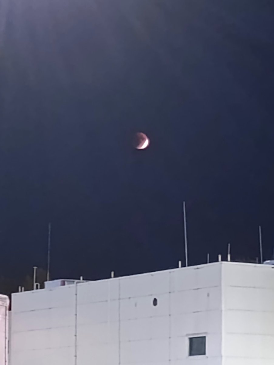 DimTwin Рейнер tweet media