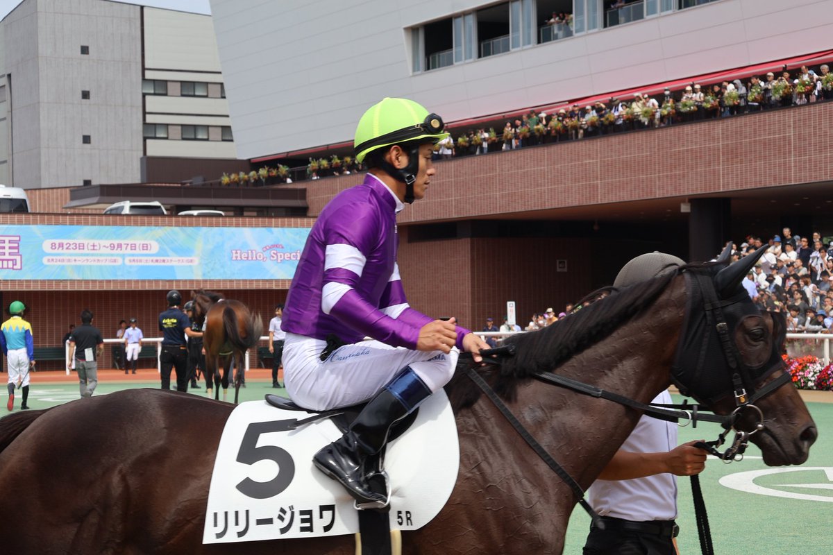 【現地】オルフェーヴル 【シンザン記念3着　きさらぎ賞2着　スプリングS1着】 2024年 シンザン記念（GⅢ） | ノーブルロジャー | JRA公式