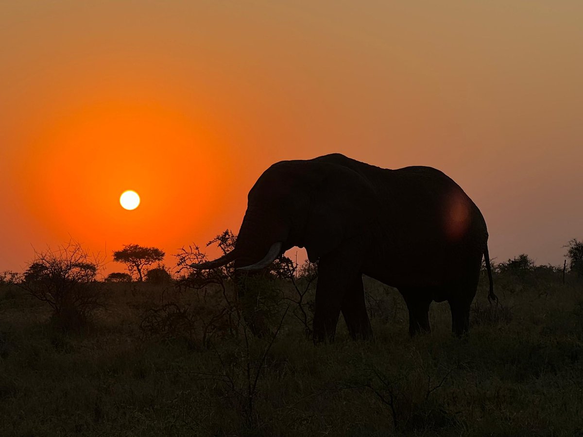 Primaland Safaris Tanzania Lmt (@primaland_) on Twitter photo 