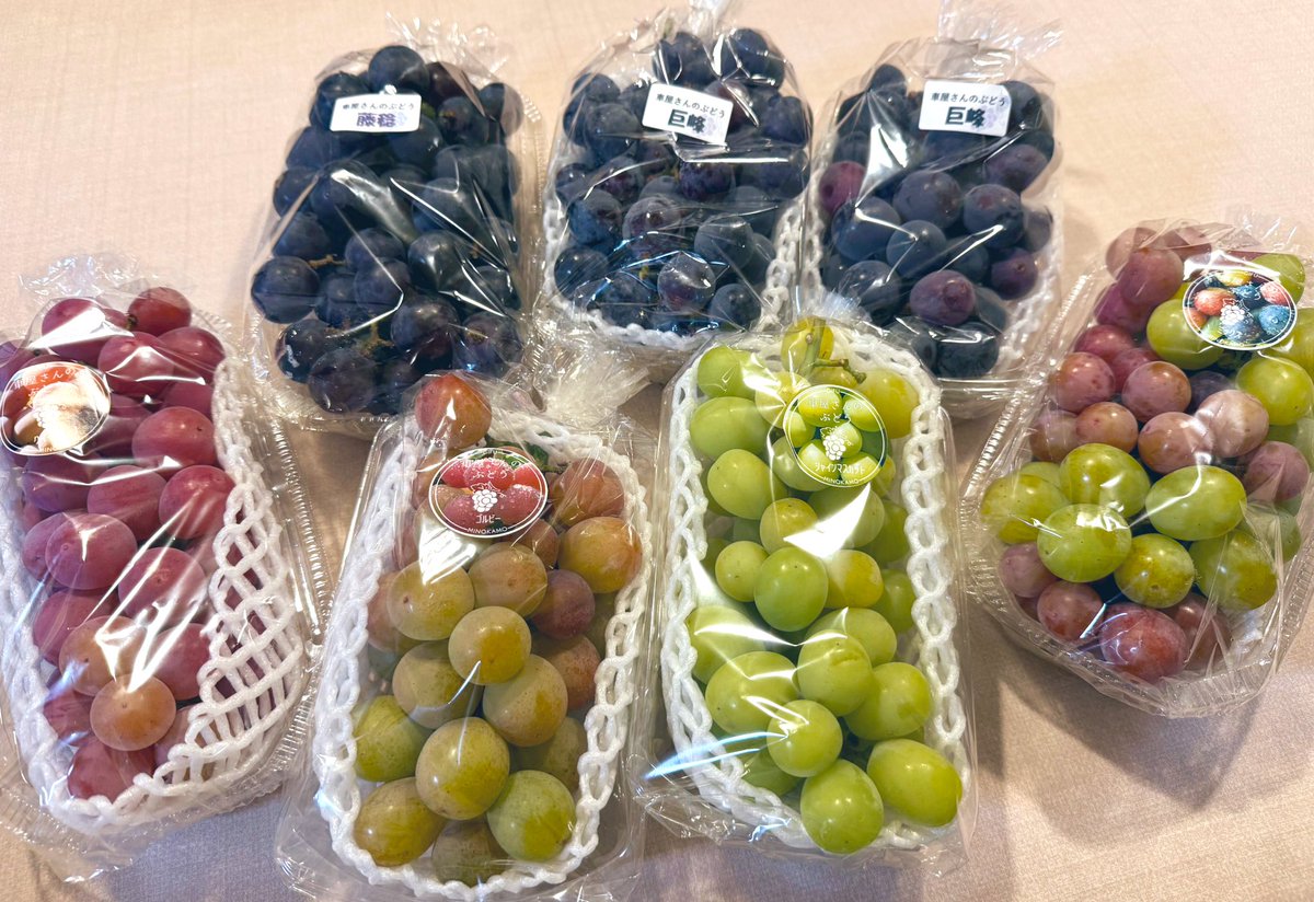 車屋さんのぶどう (@krmysan_bdo) / Posts / X