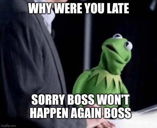 When Bitcoin dips 10% 😆