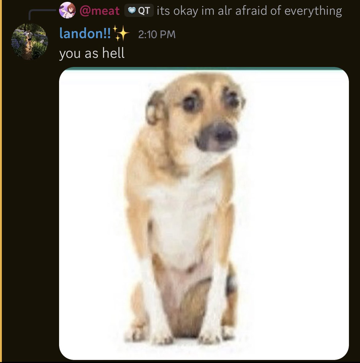 meat (@meatnami) on Twitter photo 