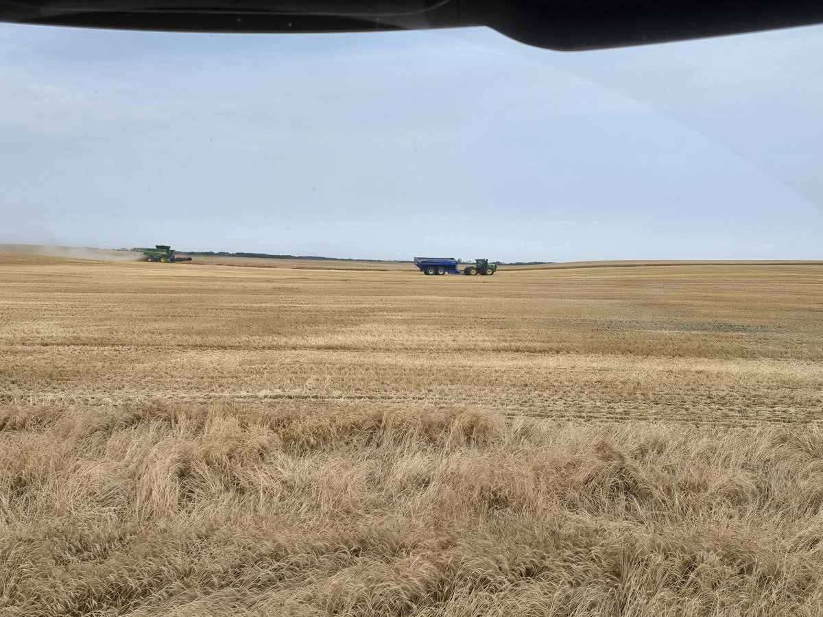 Few x9s running on the other side of the fence this morning