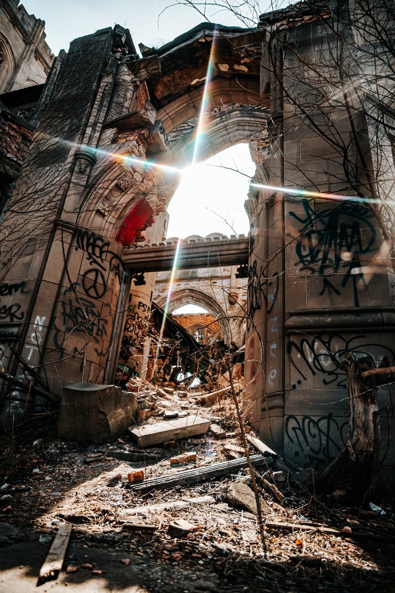 Jess Beck Photography tweet media