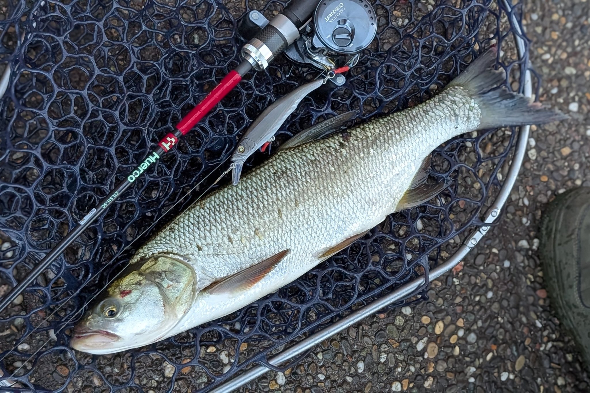 Nishine Lure Works (@Beatour27) / X
