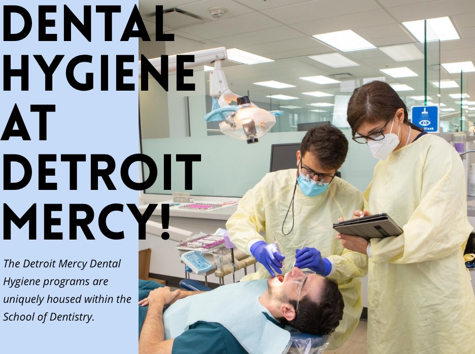 Detroit Mercy Admissions tweet media