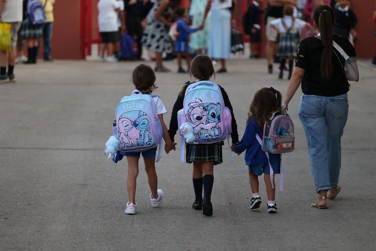 Lavinia Llamedo tweet media