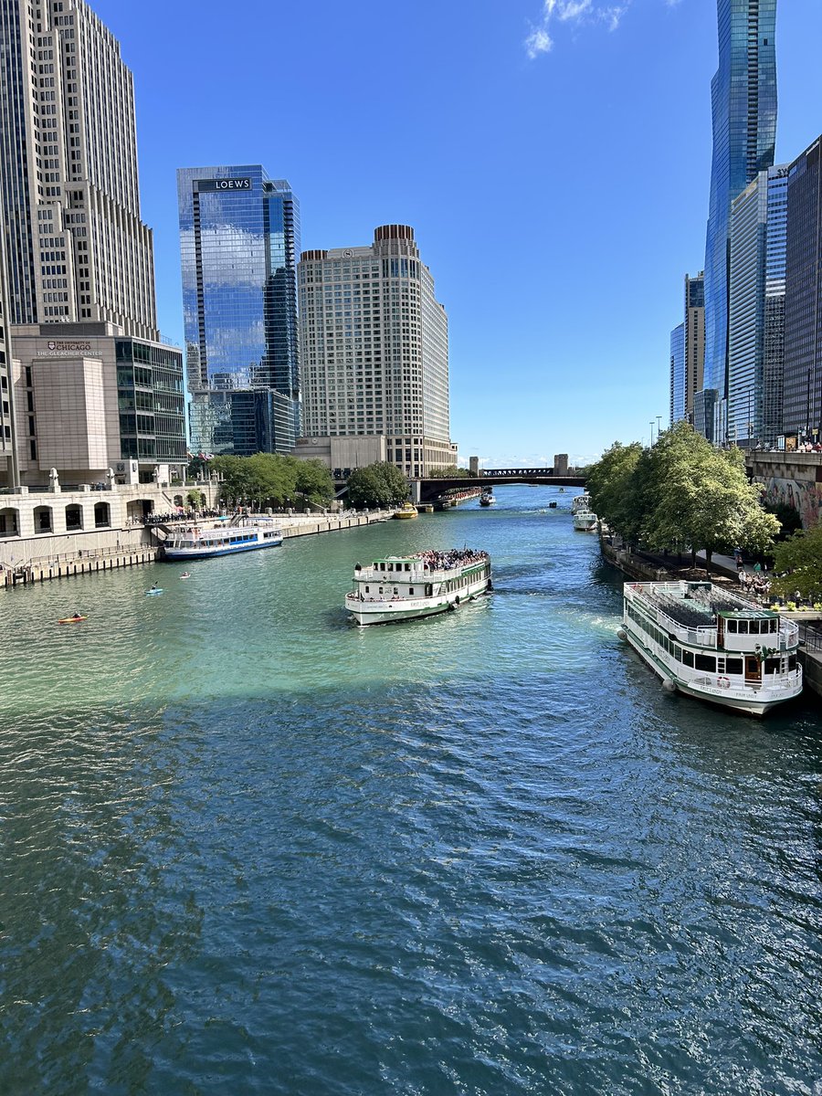 Kate Dalman tweet media