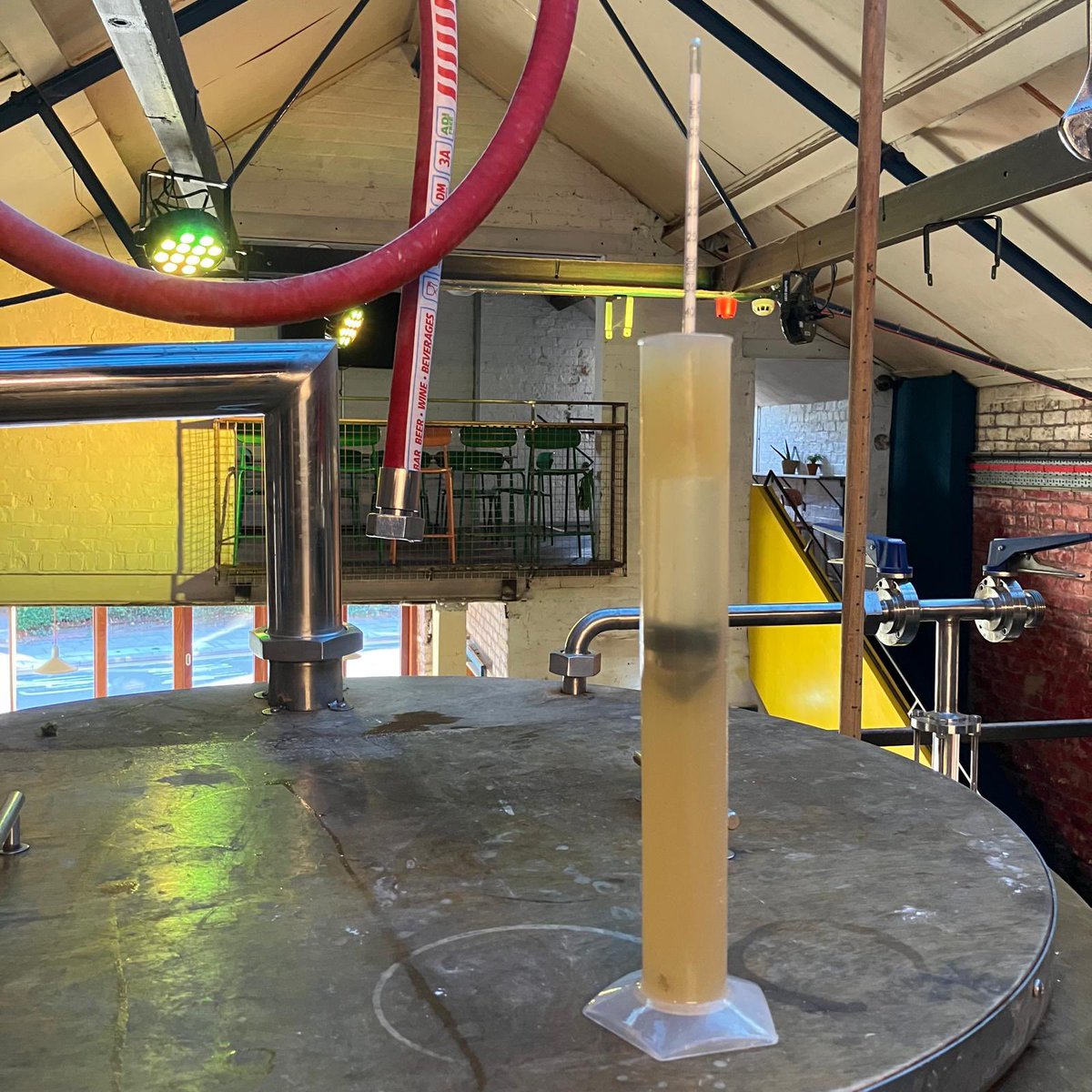 More pics from our annual green hop harvest and brew day!