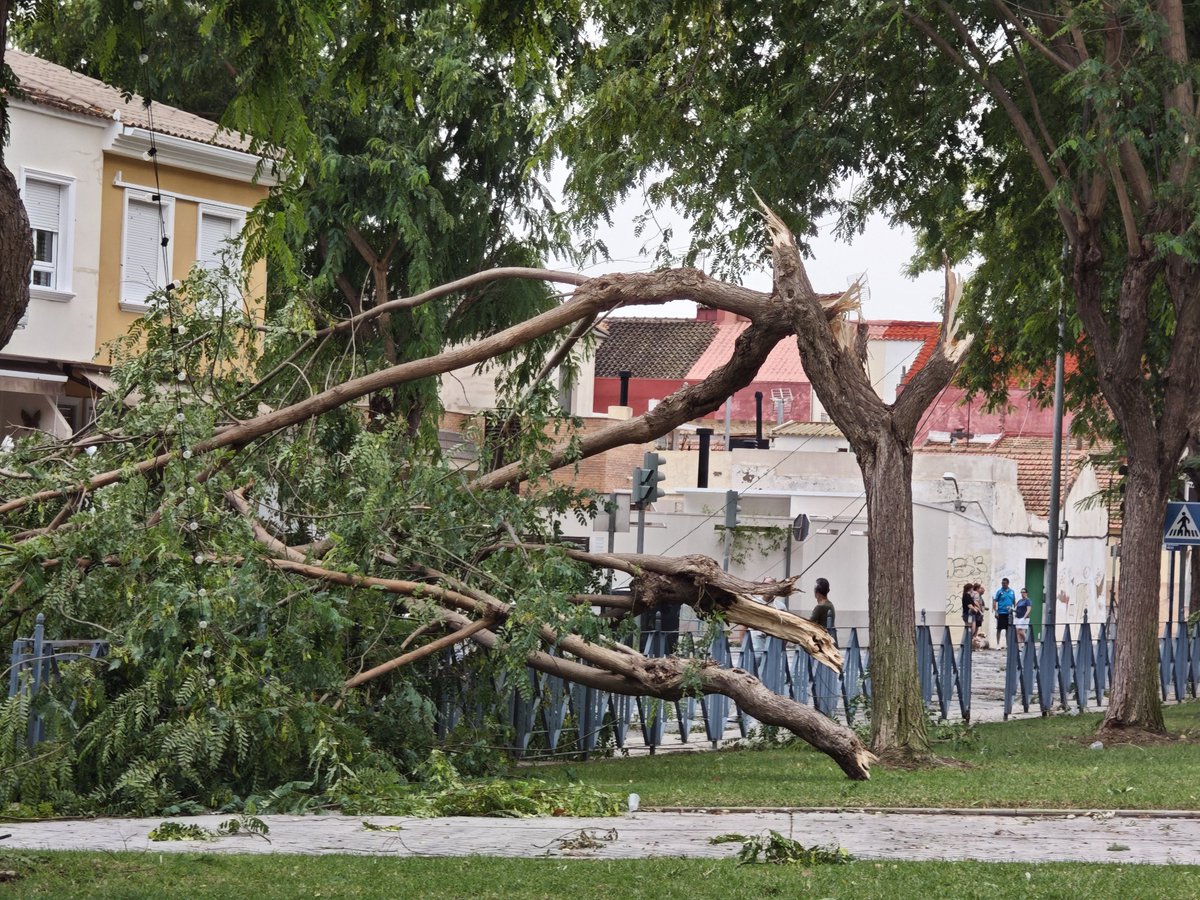 Edouin07's tweet photo. Parece que haya pasado un tornado por Redován, en el vídeo casi me lleva el viento, nunca había vivido algo asi. https://t.co/FOGrfM3HNZ