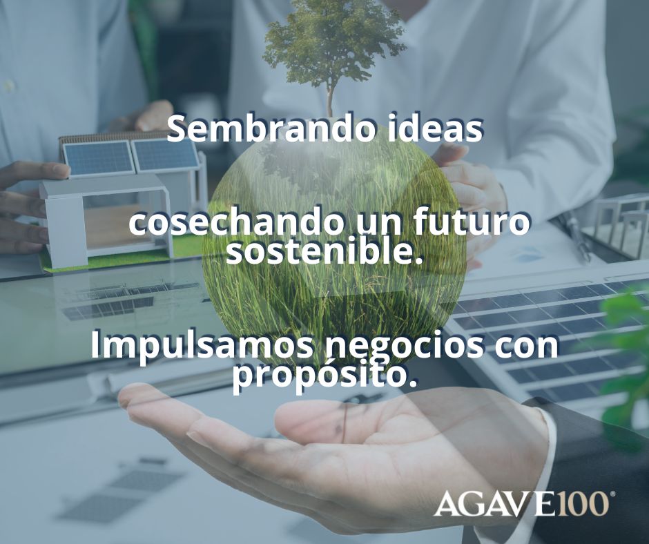 Agave100_mx's tweet photo. ¿Tienes una idea brillante que busca impactar positivamente el mundo? 🚀 En AGAVE100, incubamos y aceleramos proyectos sostenibles, transformando visiones en realidades rentables y responsables. ¡Conoce cómo podemos impulsarte! #EmprendimientoSostenible #AGAVE100 #Incubación https://t.co/94AhDhoEft