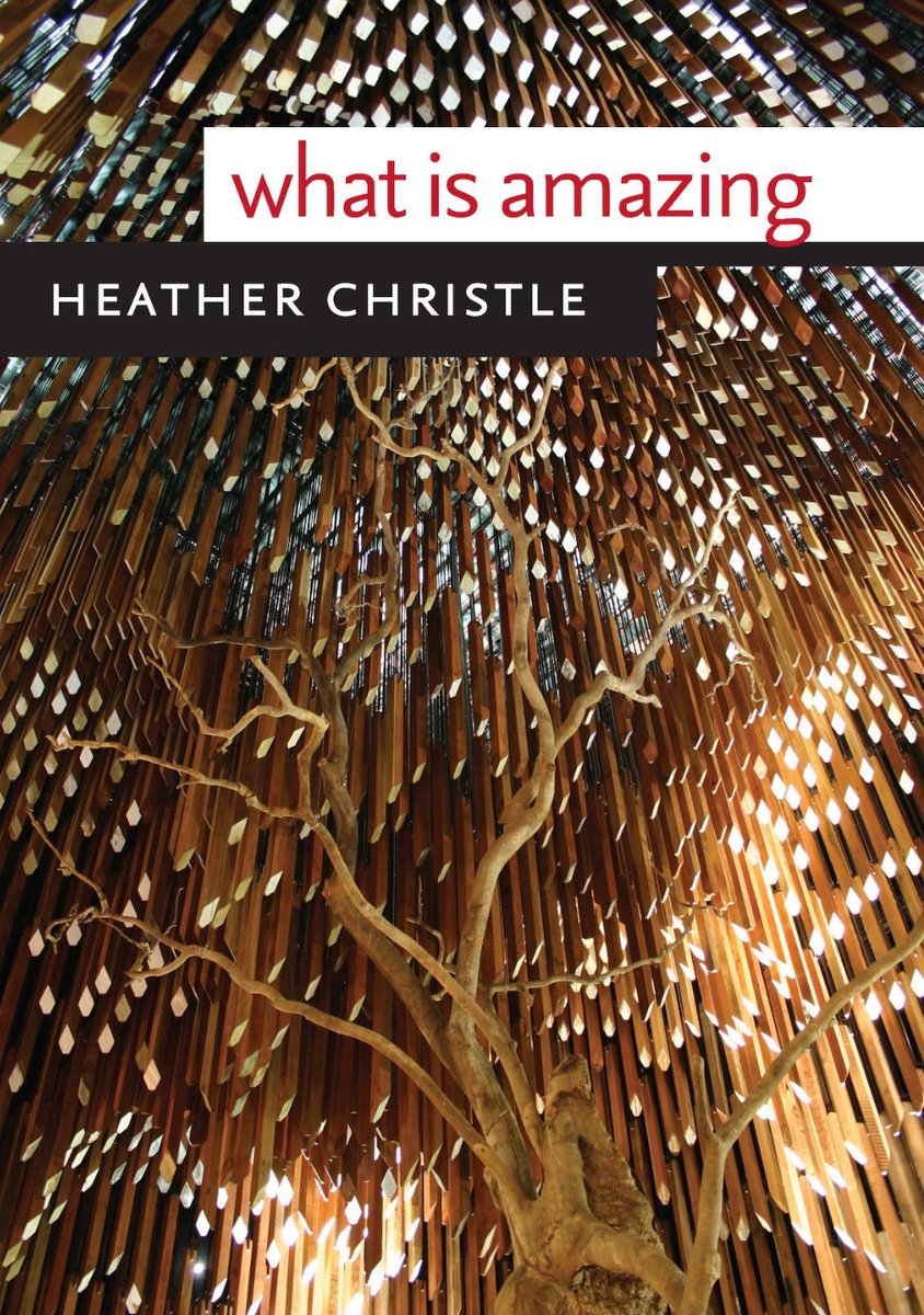 RoseKnapp_'s tweet photo. What Is Amazing by ⁦@heatherchristle⁩ ⁦@weslpress⁩ 

#poetry https://t.co/6Abjld31SQ