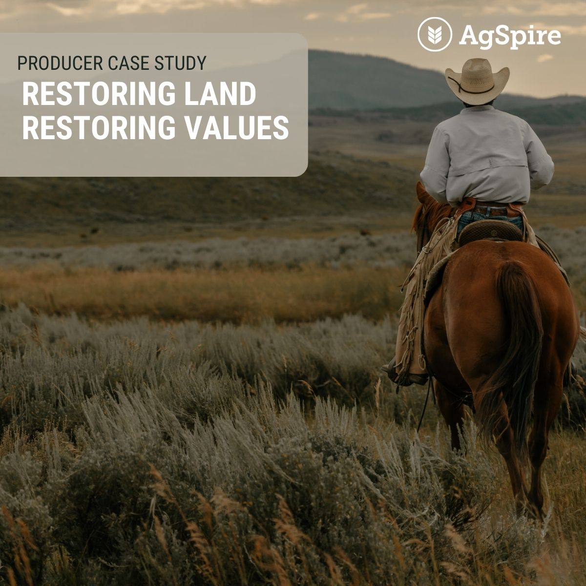 AgSpire's Grass is Greener program helps ranchers adopt regenerative grazing strategies that boost environmental impact and operational strength.

Check out this case study - Restoring Land. Restoring Values agspire.com/producer-case-…