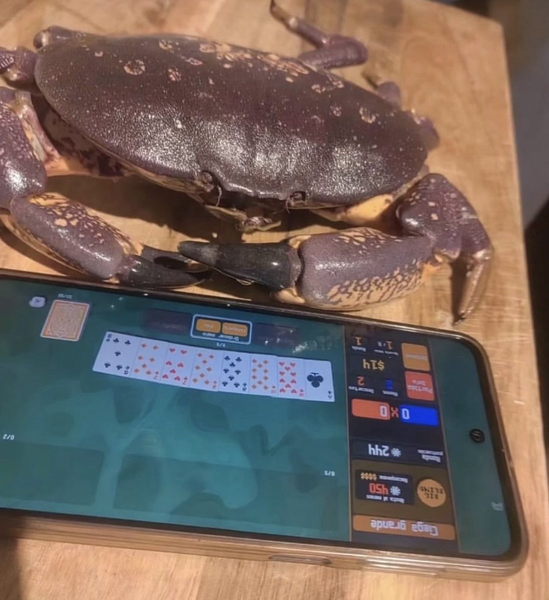 insaneposes's tweet image. 