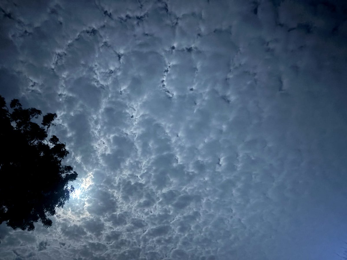 જાણે આભમાં કોઈ ઘેટાના ઊનના ઢગલા મૂકી આવ્યું હોય એવા વાદળ

જેને અલ્ટોક્યુમ્યુલસ ક્લાઉડ કહેવાય

હું જેટલું સમજ્યો એ સાચું હોય તો વરસવા માટે સક્ષમ ન હોય એવો ભેજ આવા વાદળ બનાવે છે

જે થોડા દિવસમાં વરસાદ આવશે એવા એંધાણ પણ આપે છે

<a href="/WesternIndiaWX/">Weatherman Uttam</a> મારી વાત સાચી છે?

સૌરાષ્ટ્રની તસવીર