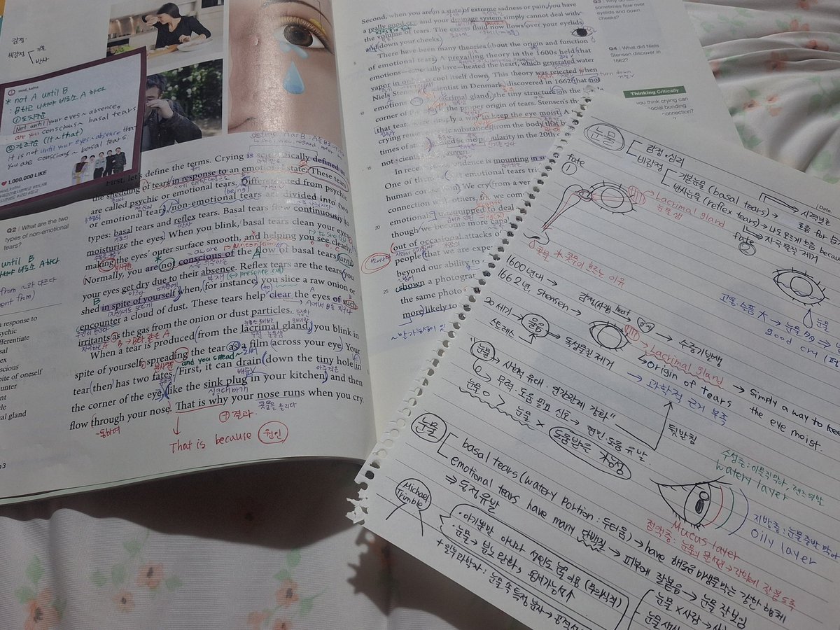 영어가 너무 재밌던 나머지 몰두해버린 결과... 그러나 수학을 처참하게 안해서 오늘 밤 샐 예정입니다. 크크...