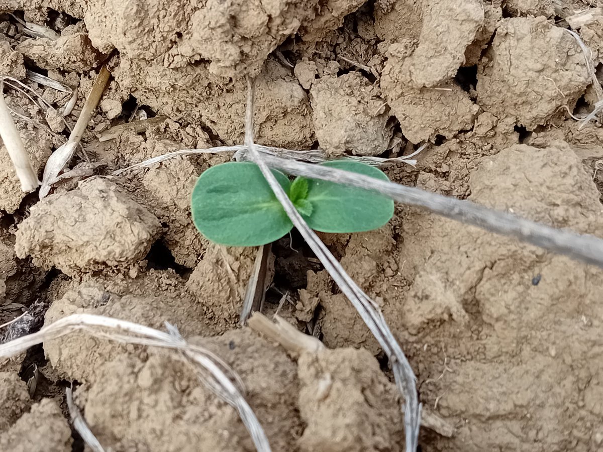 GUYOT Vincent tweet media