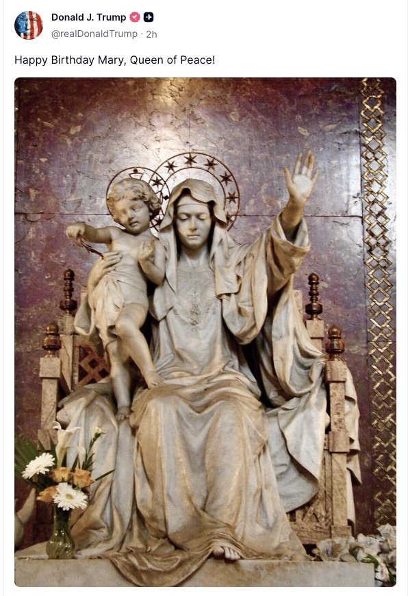 Q ™️ tweet media