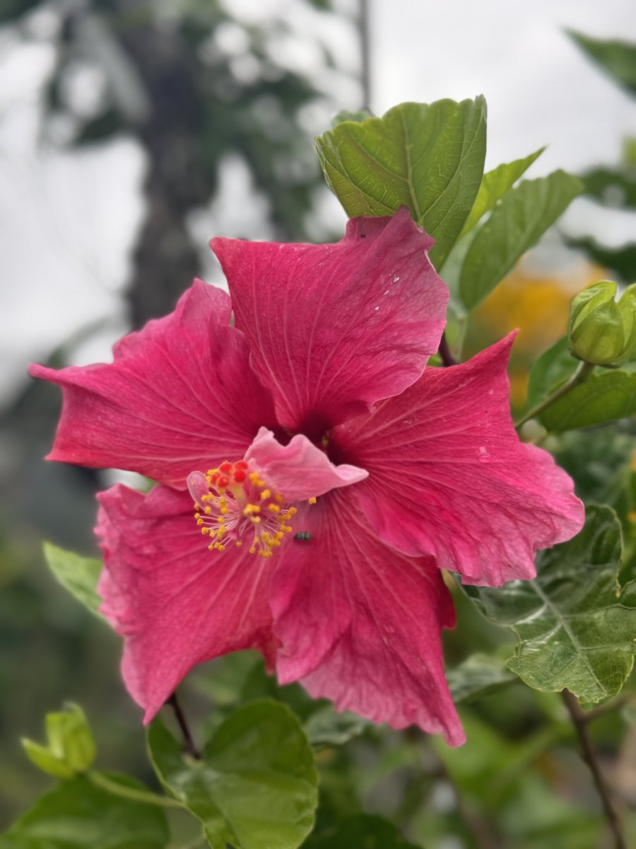 Vivamos un hermoso día! 🙋‍♀️💖