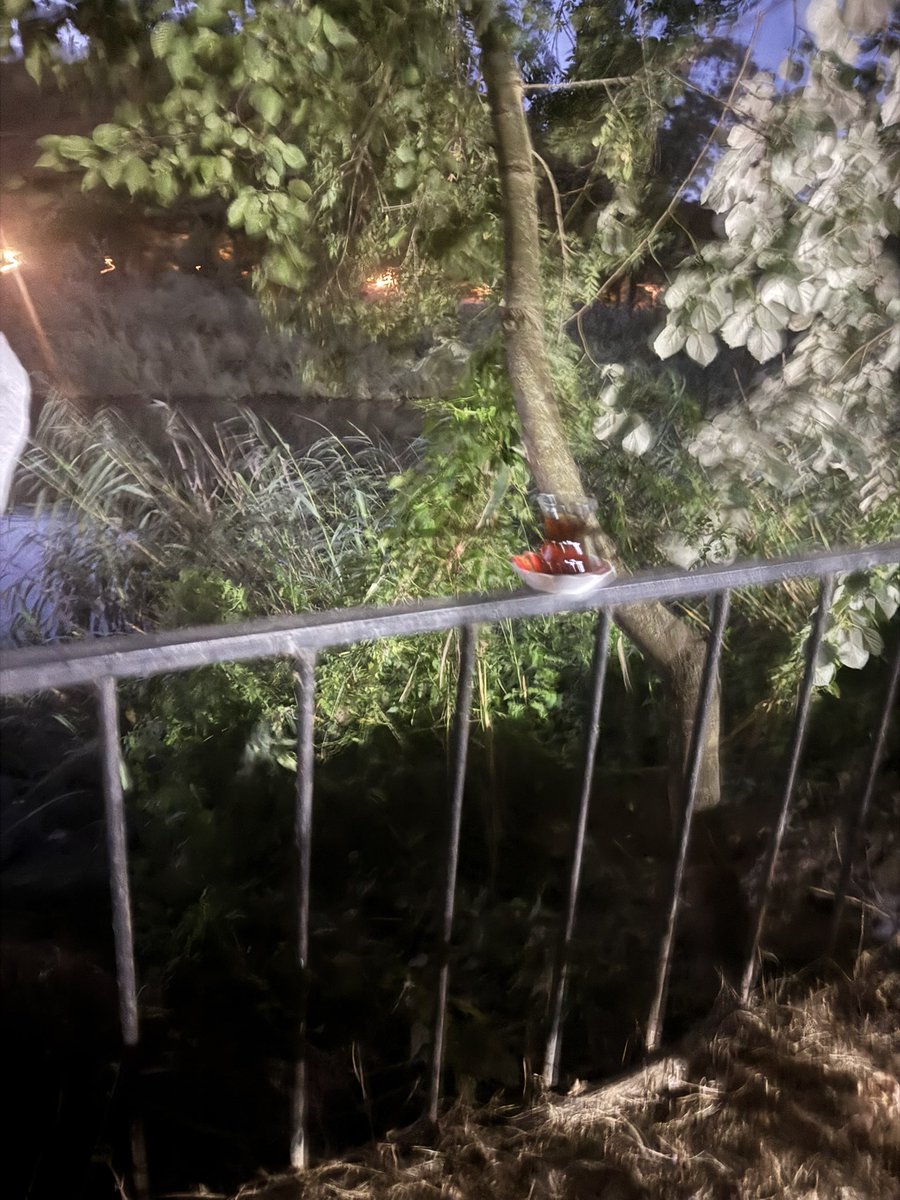 Huzur’a Bir İsim Koy Deselerdi   Çay Derdim… 
Mutlu Akşamlar ☕️☕️