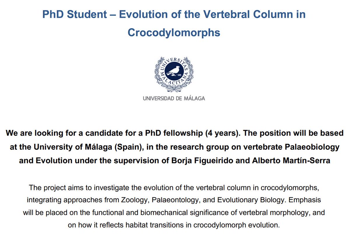 Narimane Chatar tweet media