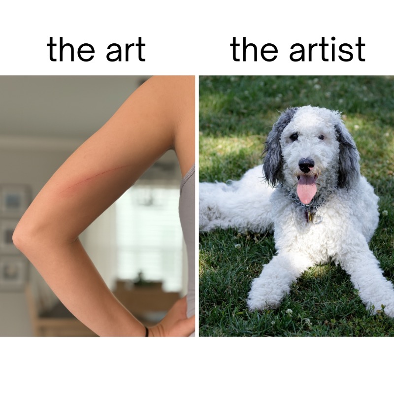 Just call him Pawblo Picasso