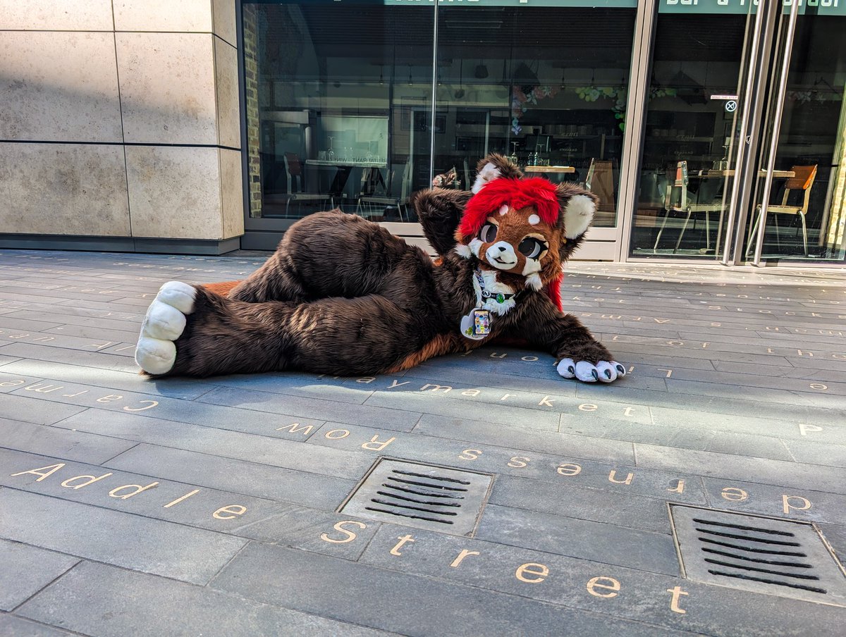 Draw me like one of your french girls 😉

In my suit - <a href="/ShiftyCollie/">Collieflower 🌼</a> 
🪡 - <a href="/xiaoquandoki10/">Doki✧</a> 
📸 - me
📍 - <a href="/FursOfLondon/">FursOfLondon</a>

#furry #fursuit #FursuitEveryday #cute #LFM