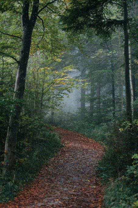 Photography by marco Meyer