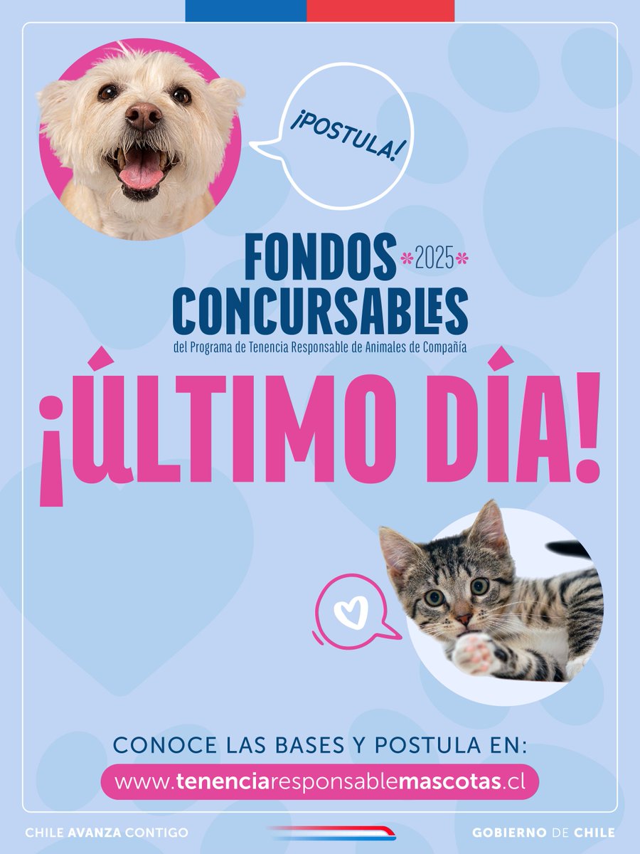 ¡Último día! 🚨

Postula a los Fondos Concursables 2025 que apoyan iniciativas para promover la tenencia responsable de mascotas.

📱 Revisa las bases y postula en tenenciaresponsablemascotas.cl