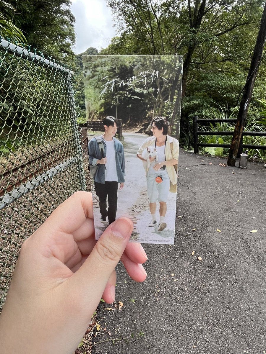 まりも (@2546marimo) / X