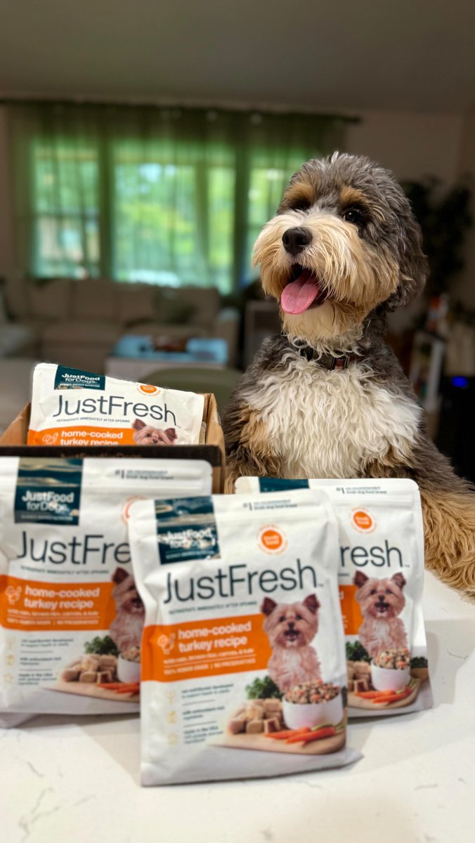 SaloandMocha's tweet image. Want to create content that resonates? Focus on telling a genuine story! Whether it’s Mocha’s playful antics or Salem’s sass, authenticity shines through. 🐶🐱✨ Let&apos;s inspire each other as UGC creators! #PetContent #CommunityLove