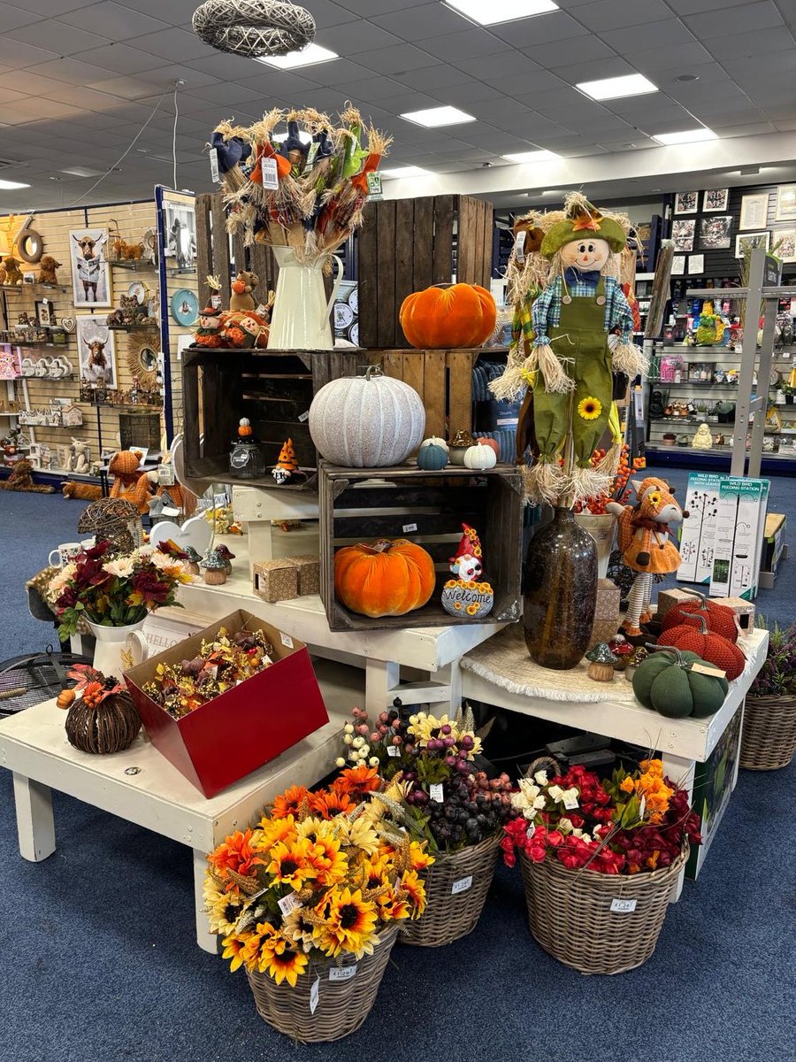 Have you seen our lovely Autumn displays In Stores?!🎃😍

You can shop now In Stores &amp; Online!

geetees.co.uk