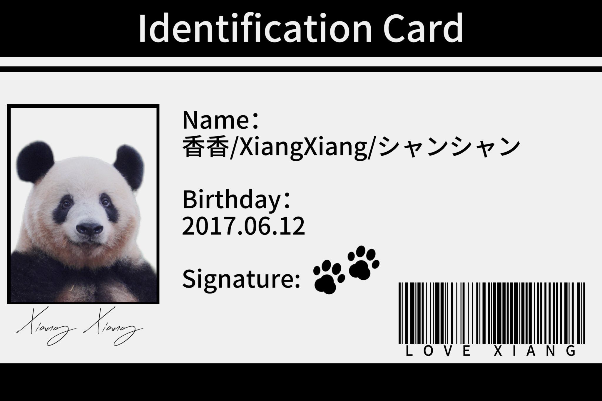 🇵🇭🧸🐼 ℡™ミスターパンダブーム玄笑顏无双凰战斗力仙