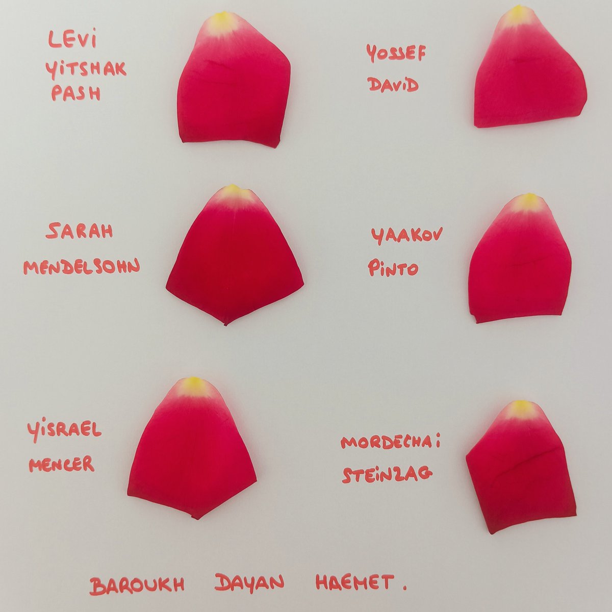 aurelieweizmann's tweet photo. #attentat #Jerusalem #Ramot https://t.co/sVZxpL0mBT