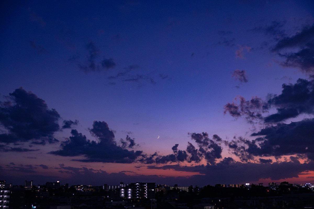 nilikoko's tweet image. 燈灯