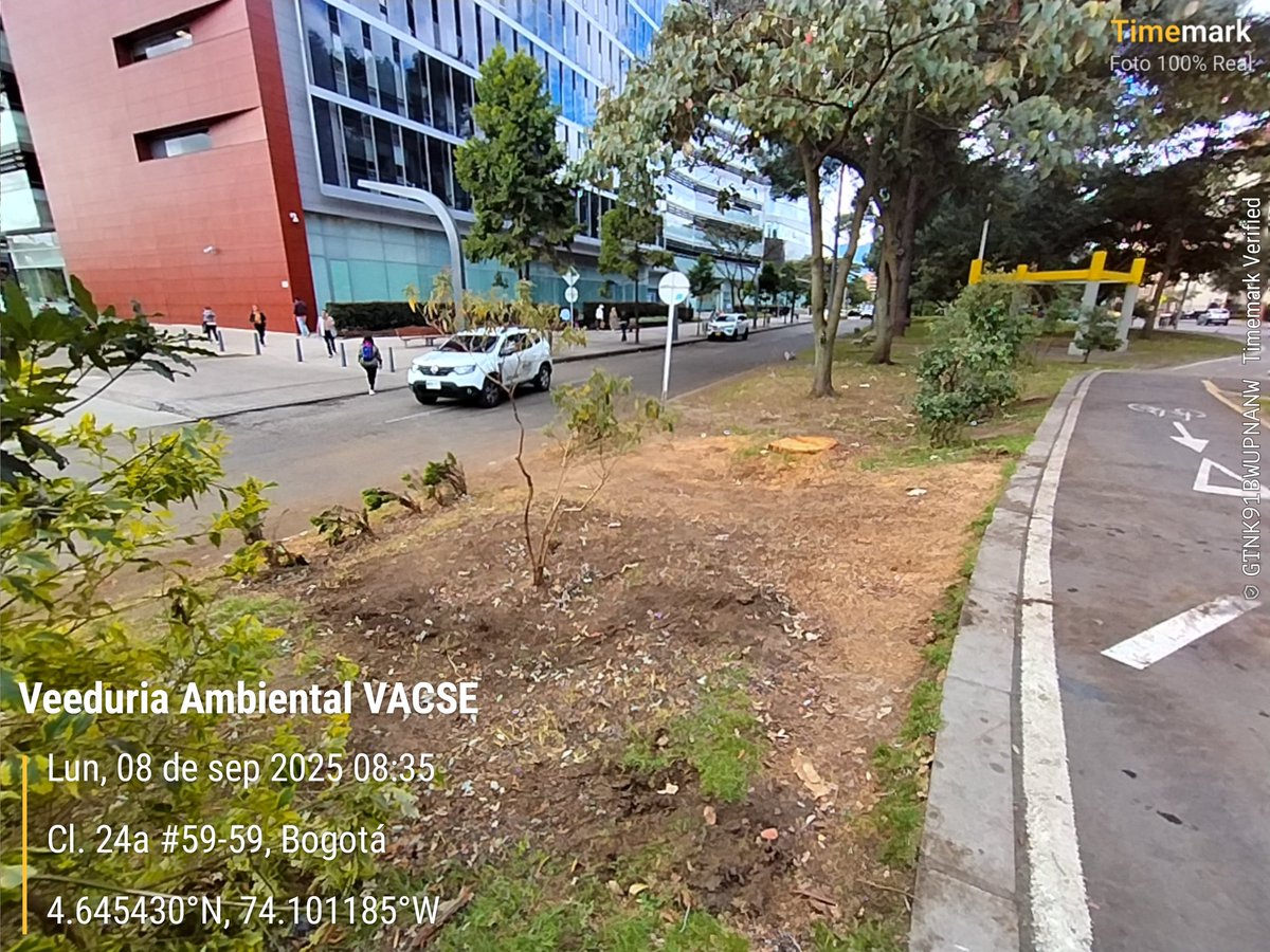 SalitreOriental's tweet photo. Gracias @Uaesp @AguasBogota por retiro de materia vegetal. Paso a paso y con el liderazgo del @JBotanicoBogota vamos a establecer Jardines con propósito #BogotaCaminaSegura #JardineriaUrbana #VACSE 🌳🌺🪷🌸💮🏵️ https://t.co/W6dNDjZONO