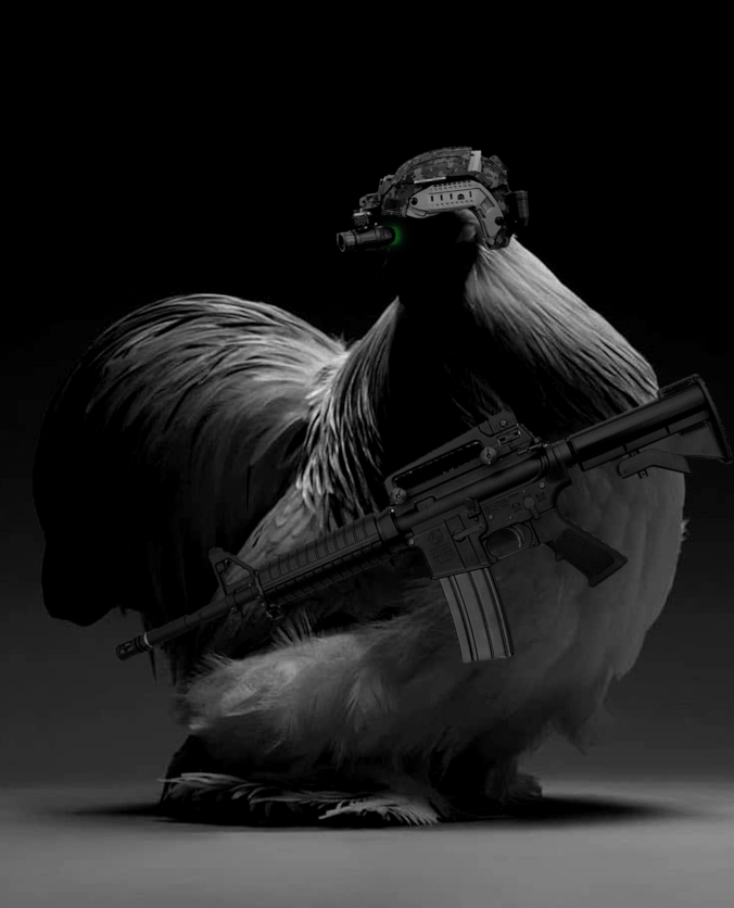 That_CS_Alfredo's tweet photo. Train like your hated. https://t.co/nRbXFbdhje