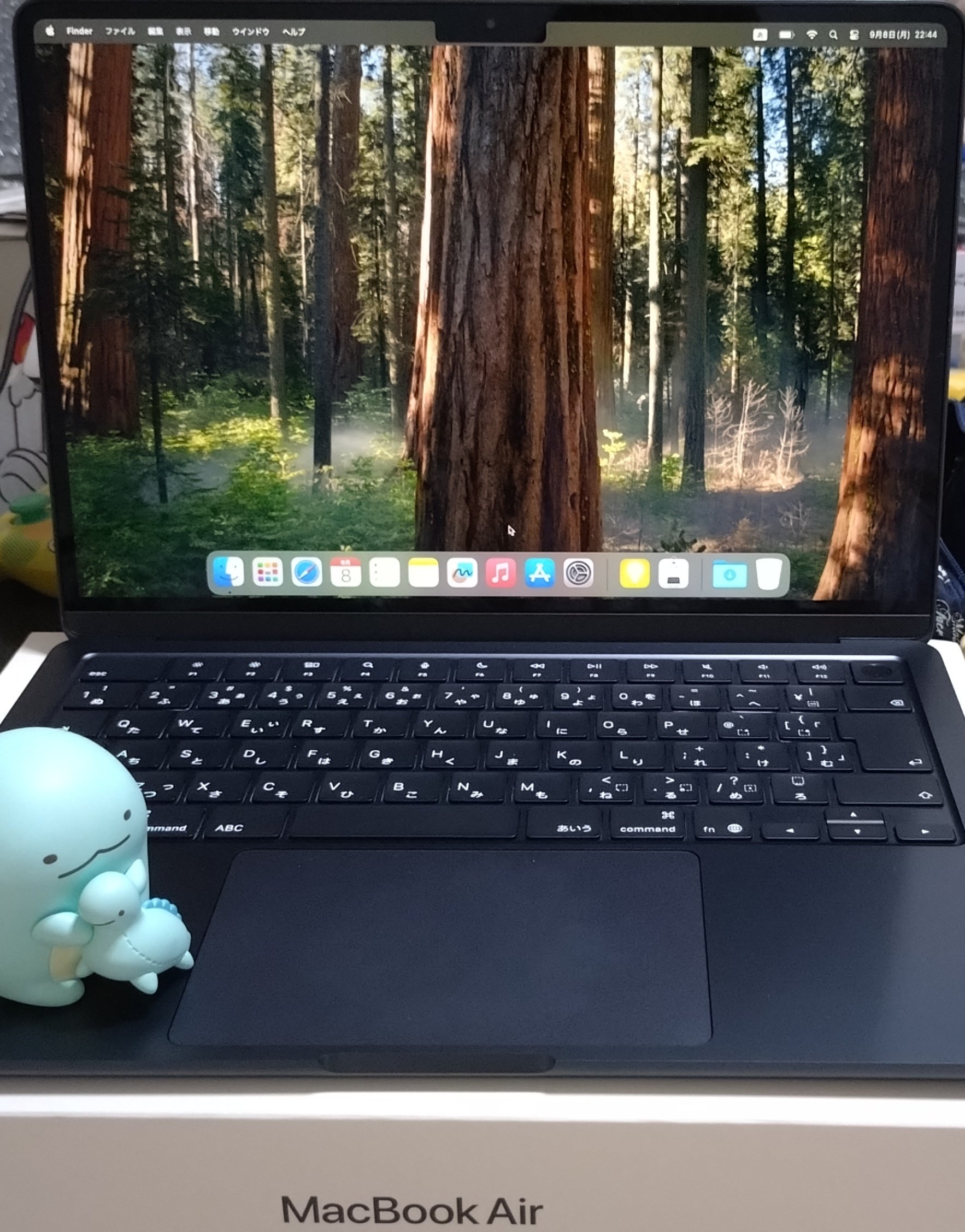 さくら（感謝） 全20巻揃い DVDアニメ シナノ企画／池田大作 原作