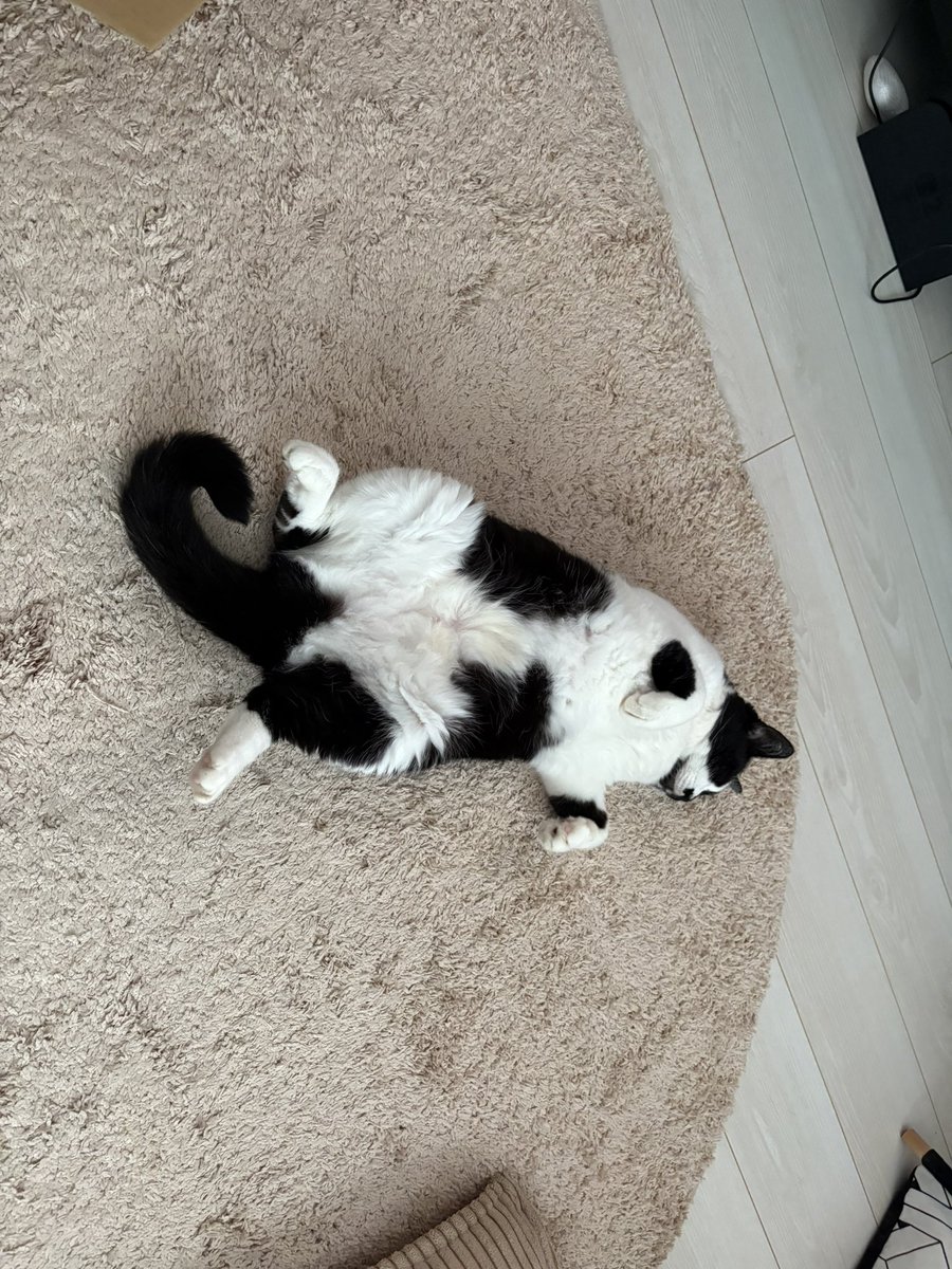 ココカラファイン心がファイン