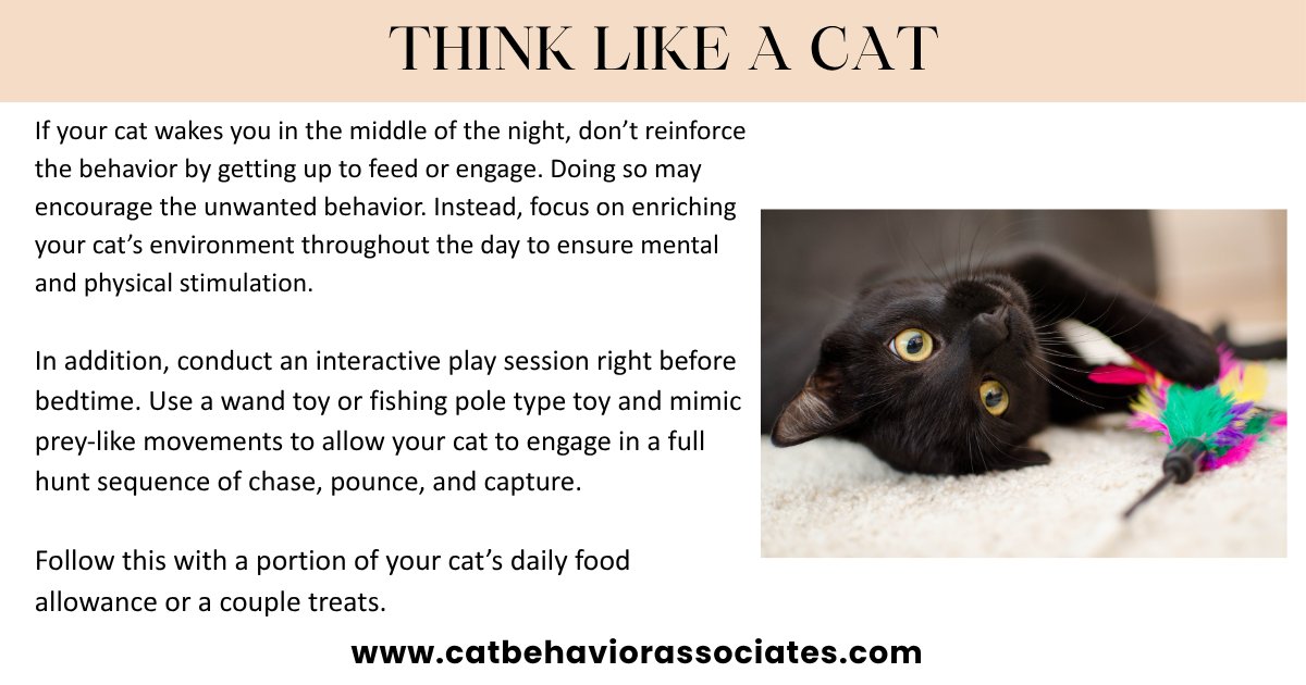 Does your cat wake you in the middle of the night or early in the morning? Here's a tip to hopefully change the behavior.