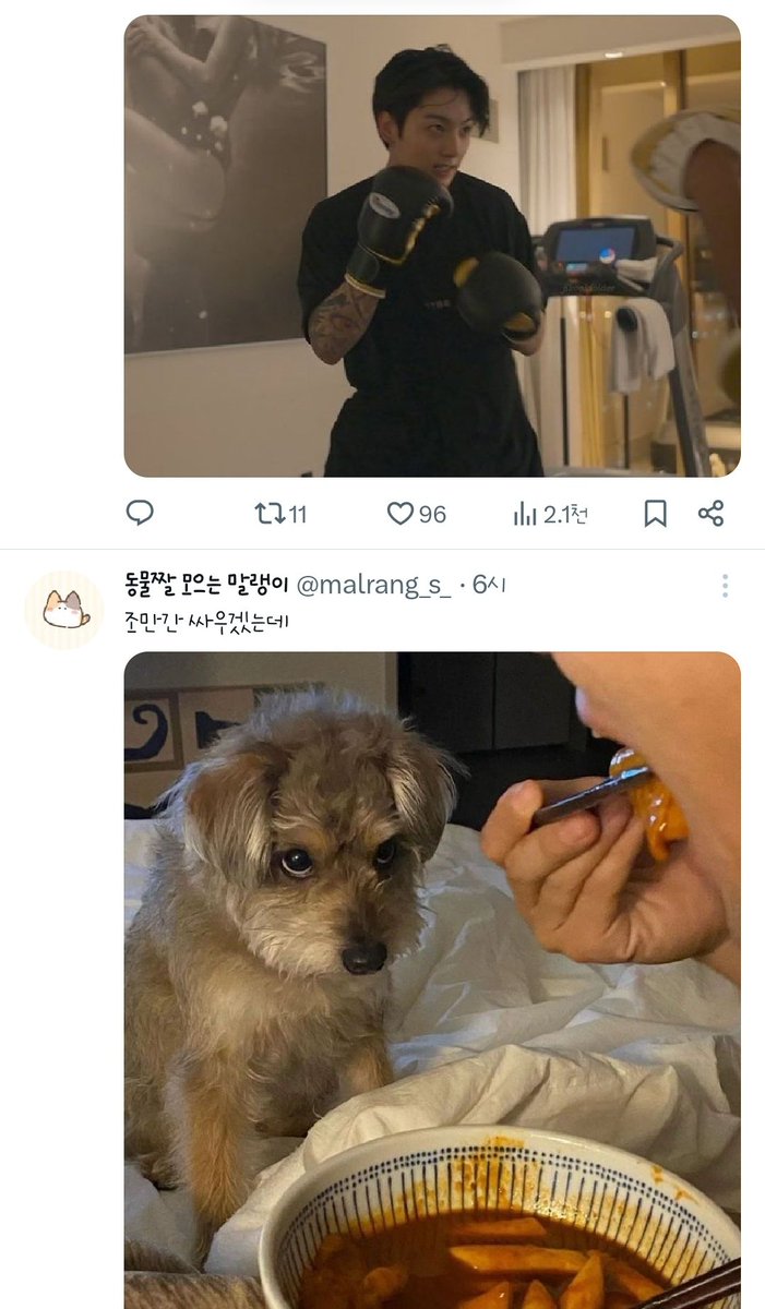냠냠 tweet media