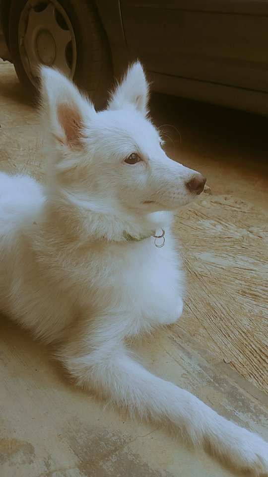 SNOW ❄️ KUK'S BABY tweet media