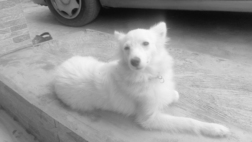 SNOW ❄️ KUK'S BABY tweet media