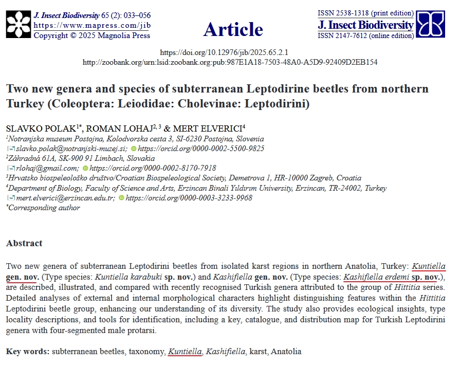 Kadir Boğaç Kunt tweet media