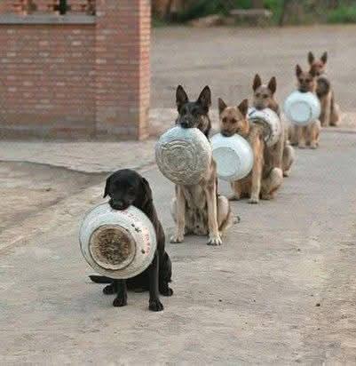 À gauche : le groupe insoumis arrive à l’Assemblée nationale.

À droite : le groupe socialiste arrive à l’Assemblée nationale.