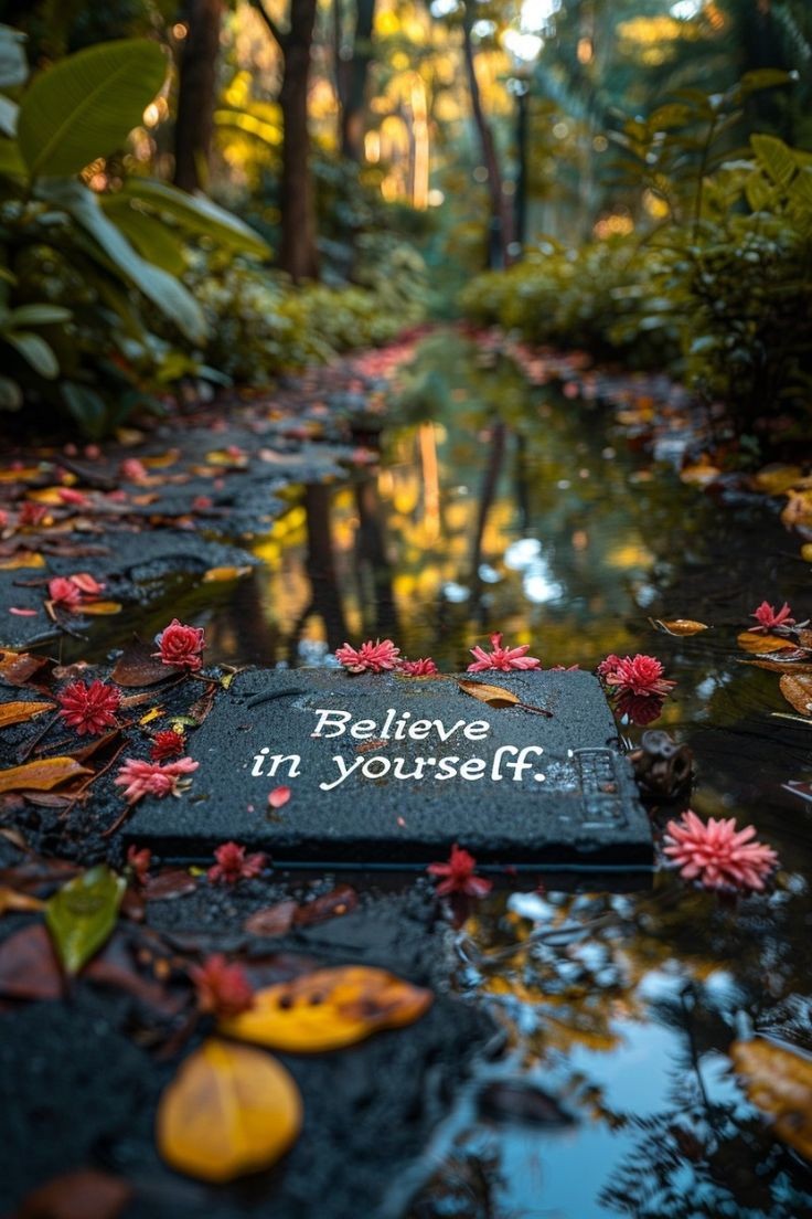 POSITIVITY (@positivitysaid) on Twitter photo 